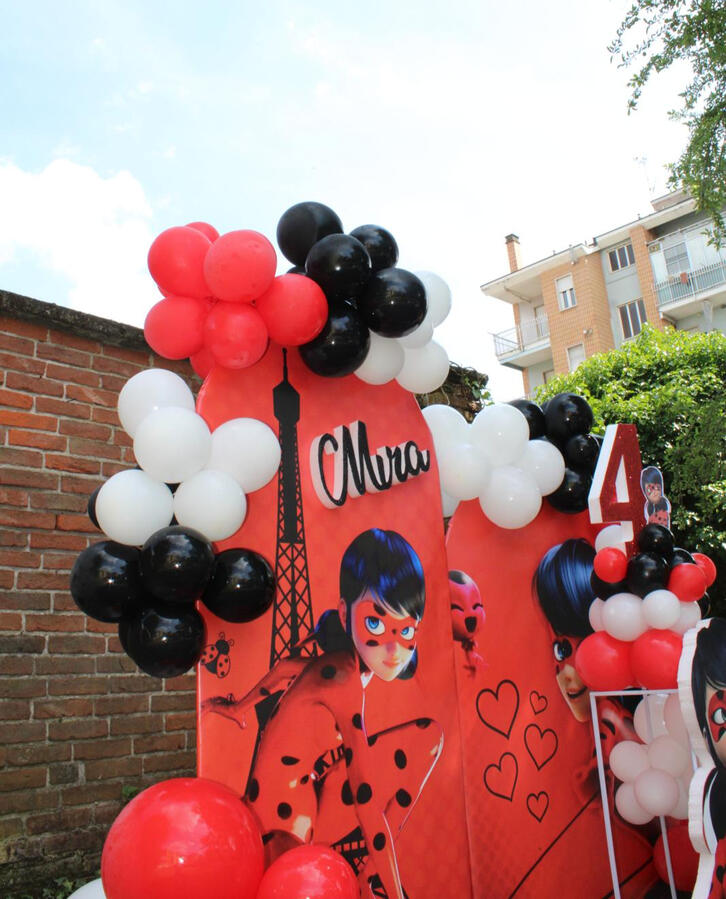a Allestimento a tema compleanno nichelino festa